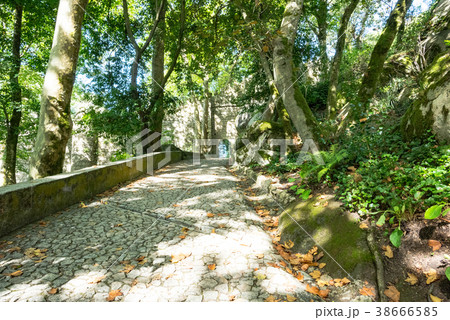 ムーアの城壁-ポルトガル ムーアの城壁-ポルトガル 38666585