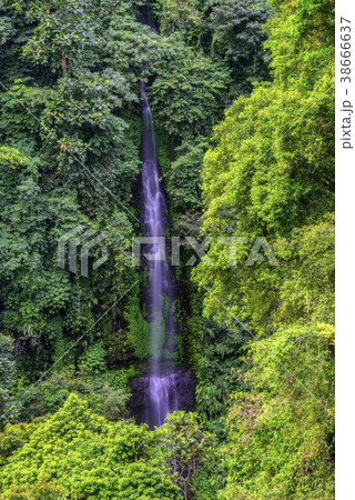 View of waterfall View of waterfall 38666637