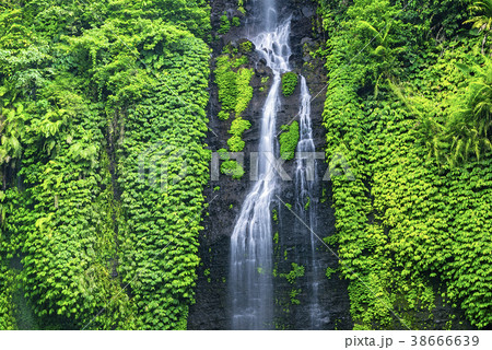 Lemukih Waterfall in summer 38666639