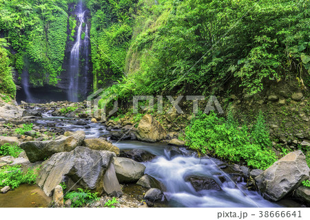 Lemukih Waterfall in summer 38666641