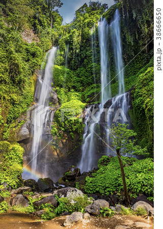 Sekumpul Waterfall in summer 38666650