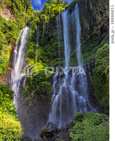 Sekumpul Waterfall in summer 38666651