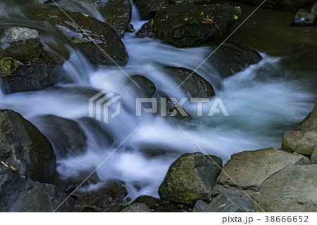 View of the flowing river in Bali View of the flowing river in Bali 38666652