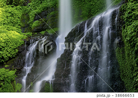 Waterfall on bali Waterfall on bali 38666653