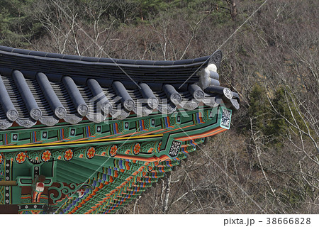 智異山 季節 韓国 38666828