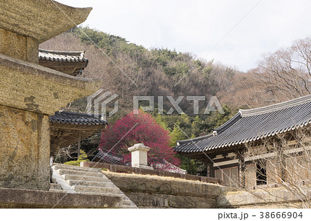 智異山 季節 華厳寺 38666904