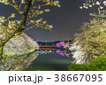 千鳥ヶ淵の夜桜 38667095