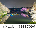 千鳥ヶ淵の夜桜 38667096