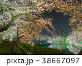 千鳥ヶ淵の夜桜 38667097