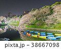 千鳥ヶ淵の夜桜 38667098