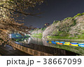 千鳥ヶ淵の夜桜 38667099