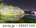 千鳥ヶ淵の夜桜 38667100