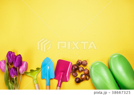 Top view of gardening stuff on yellow background Top view of gardening stuff on yellow background 38667325