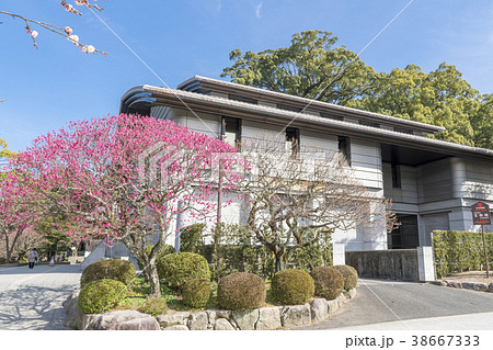 太宰府天満宮 宝物殿 太宰府天満宮 宝物殿 38667333