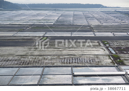 塩田 島 新安郡 38667711