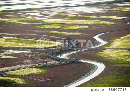 塩田 風景 屋外 38667713