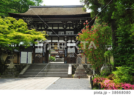 京都洛西総鎮守、松尾大社の楼門 京都洛西総鎮守、松尾大社の楼門 38668080