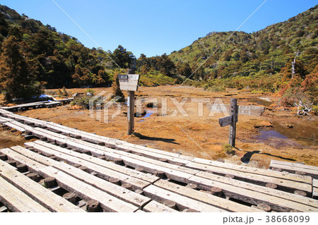 屋久島 淀川登山口~宮之浦岳登山道 花之江河 屋久島 淀川登山口~宮之浦岳登山道 花之江河 38668099