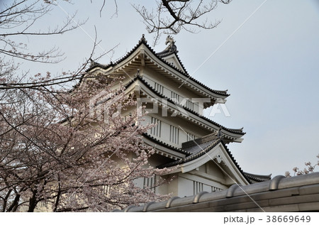 忍城と桜 38669649