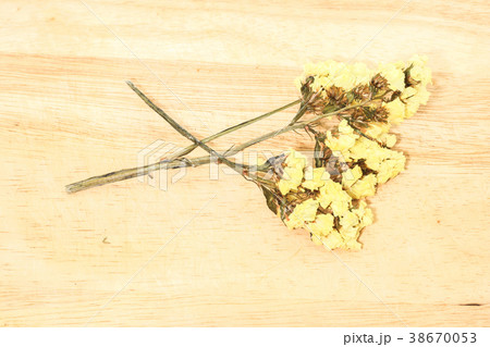 Closeup of Single yellow statice flower background 38670053