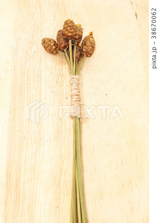 group brown dry flower with small brown rope sack group brown dry flower with small brown rope sack 38670062