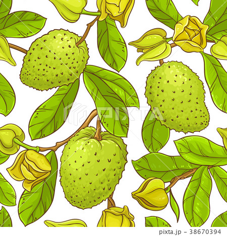 soursop  vector pattern 38670394