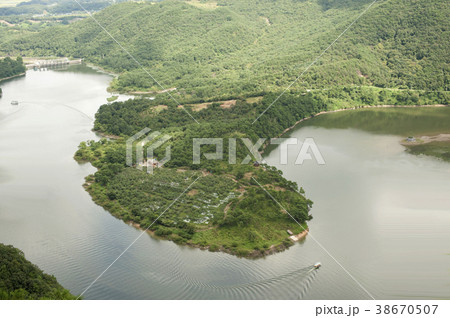 屋外 室外 木 38670507