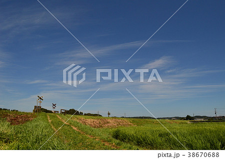 いすみ鉄道 第二五之町踏切 いすみ鉄道 第二五之町踏切 38670688