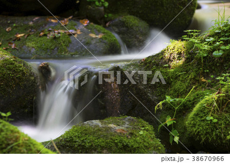 江原道 谷 コケ 38670966