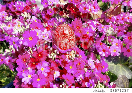 イースターエッグ 38671257