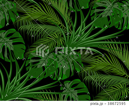 Jungle Green Leaves Of Tropical Palm Treesのイラスト素材