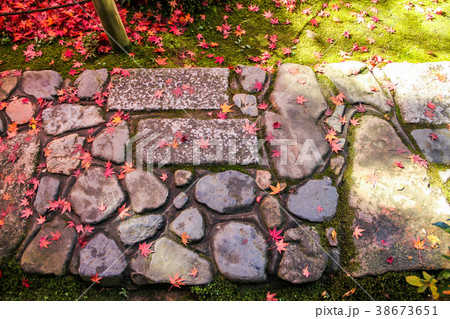 金福寺、枯山水に楓の落葉 38673651