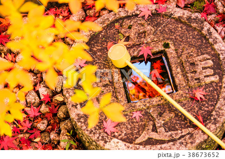 金福寺、知足の蹲に楓 38673652