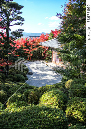 京都盆地を見渡す金福寺の紅葉、枯山水の庭と本堂 38673660
