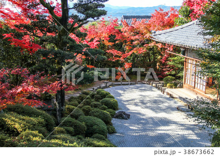 京都盆地を見渡す金福寺の紅葉、枯山水の庭と本堂 38673662