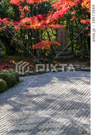 金福寺、枯山水の庭に格子影 38673669