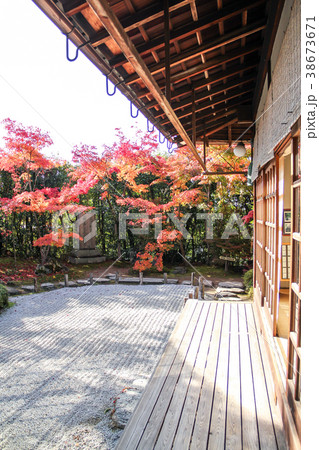 金福寺、本堂縁側から枯山水の眺め 金福寺、本堂縁側から枯山水の眺め 38673671