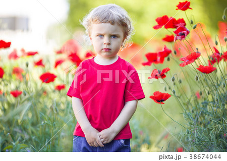 A small blond boy is holding red poppy flower 38674044