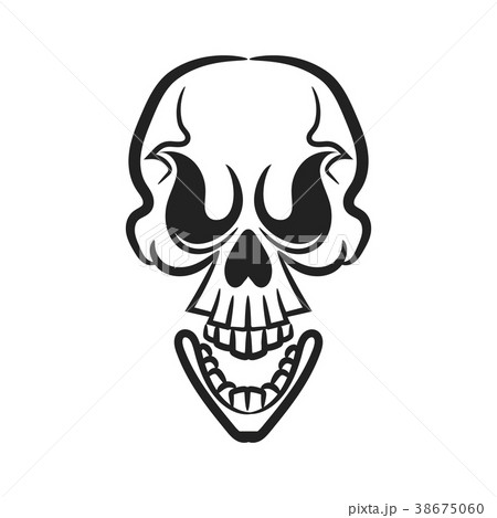 Monochrome illustration of skull. Monochrome illustration of skull. 38675060