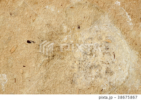 Texture of old moldy paper with dirt stains, spots Texture of old moldy paper with dirt stains, spots 38675867