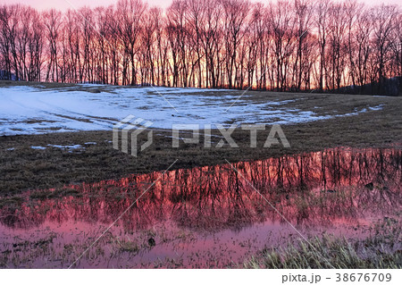 山林を映す水たまり 38676709