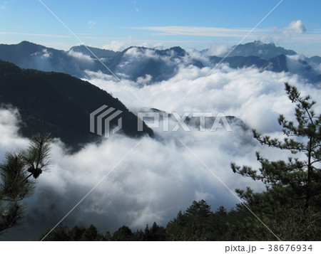 玉山 南投 山林 38676934