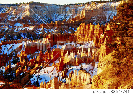 アメリカ ブライスキャニオン国立公園 土柱 早春の朝 アメリカ ブライスキャニオン国立公園 土柱 早春の朝 38677741