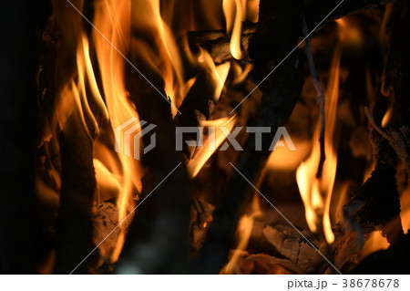 焚き火 焚き火 38678678