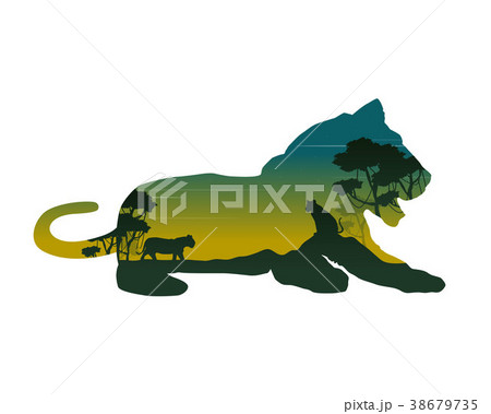 Silhouette of lioness on the hill landscape 38679735