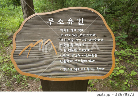 植物 屋外 室外 38679872