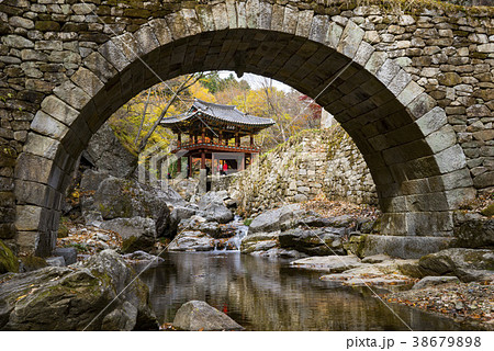 風景 木 順天市 38679898