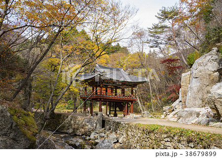 風景 仙岩寺 紅葉 38679899