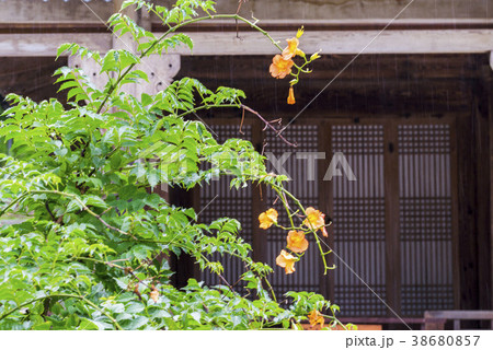 風景 宣教場 雲 38680857