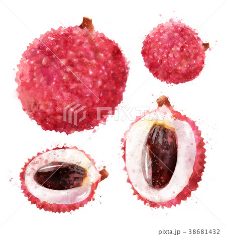 Lichi on white background. Watercolor illustration Lichi on white background. Watercolor illustration 38681432